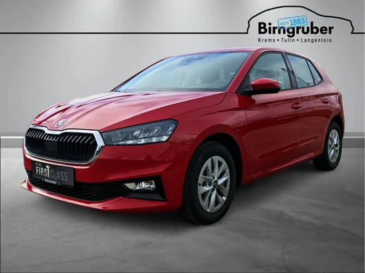 Bild eines Fabia Selection