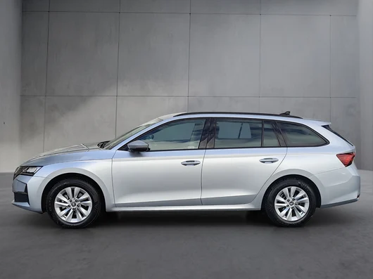 Bild eines Škoda Octavia Combi Selection TDI DSG