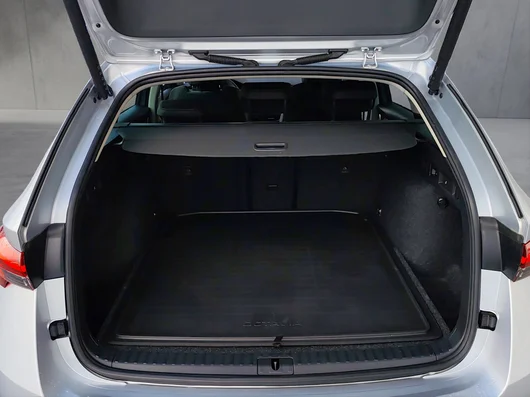 Bild eines Škoda Octavia Combi Selection TDI DSG