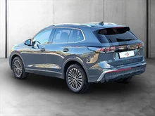 VW Tiguan Elegance eTSI DSG in DELFINGRAU METALLIC