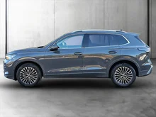 VW Tiguan Elegance eTSI DSG in DELFINGRAU METALLIC