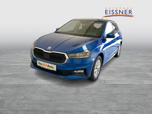Bild eines Fabia Selection TSI