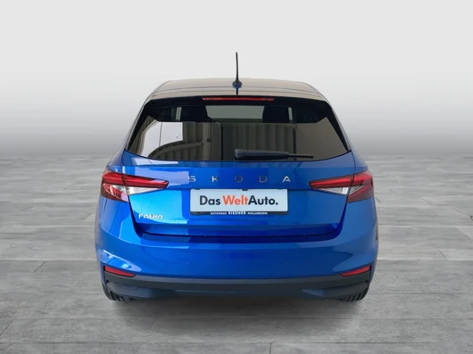 Bild eines Fabia Selection TSI