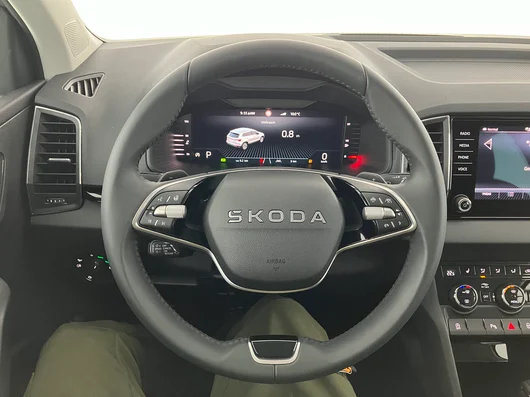 Bild eines Škoda Karoq Selection TSI DSG ACT
