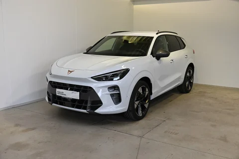 Terramar 1.5 e-TSI 150 PS DSG