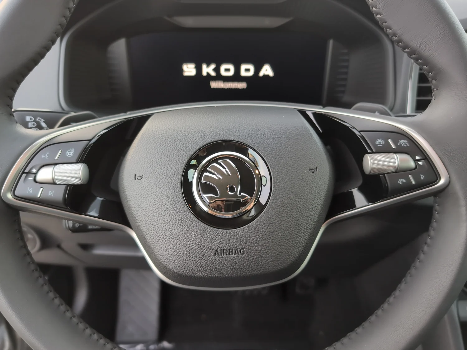 Bild eines Karoq Selection TDI DSG