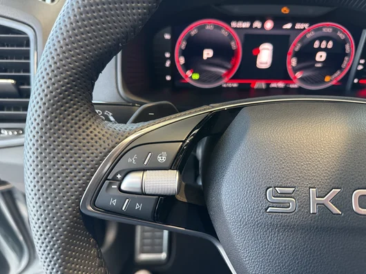 Bild eines Karoq Sportline TSI DSG ACT