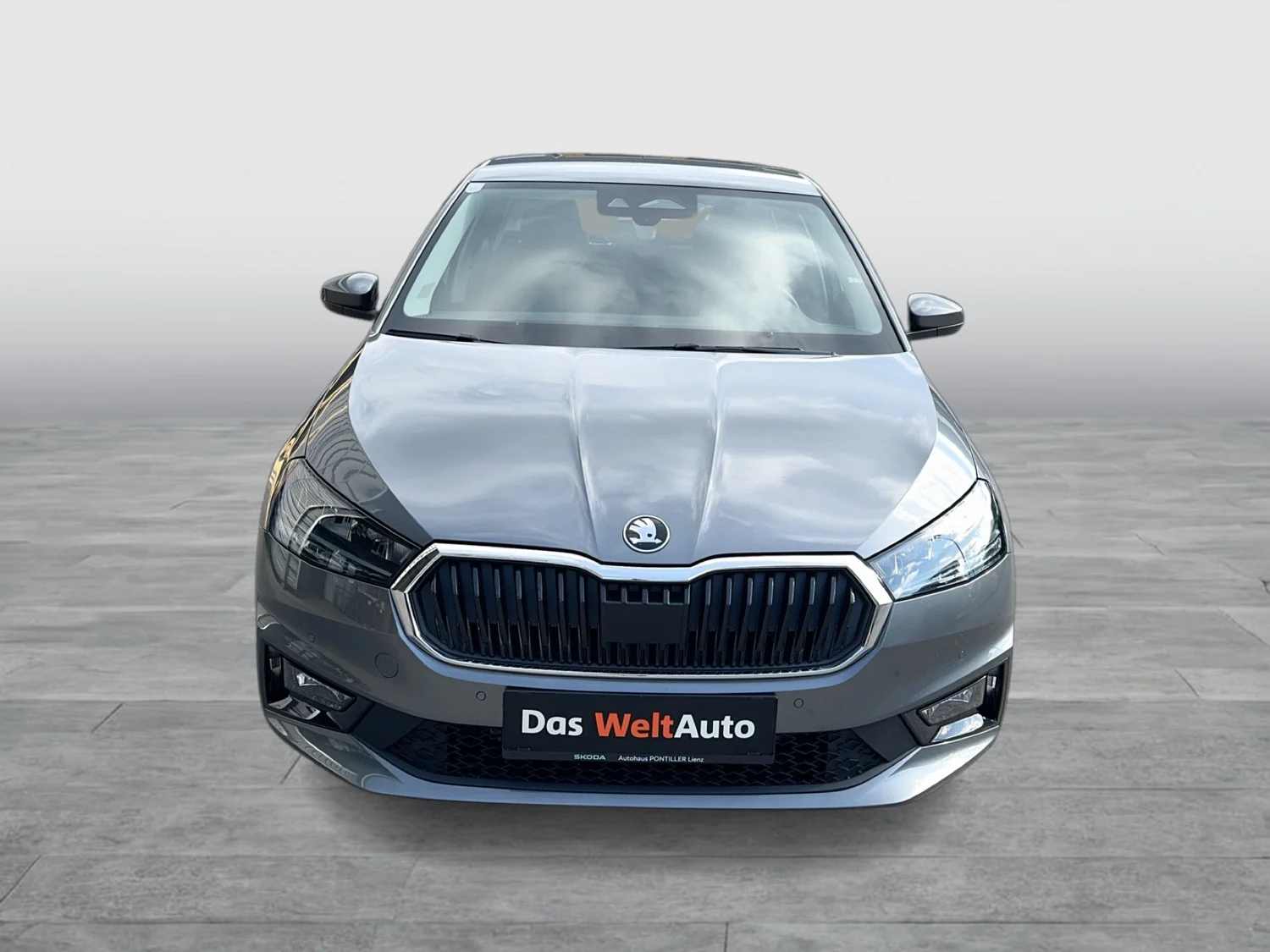 Bild eines Fabia Selection TSI