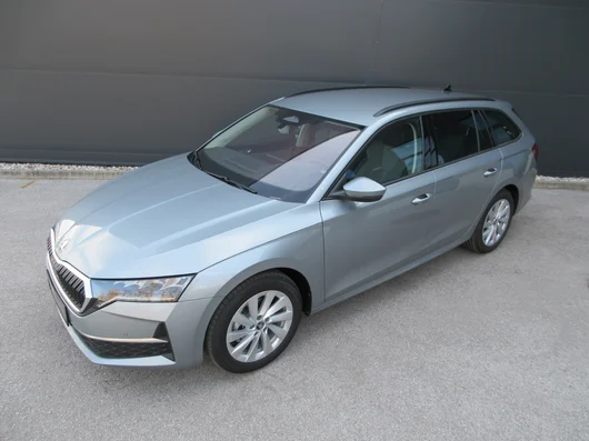 Bild eines Octavia Combi Selection TSI mHEV DSG