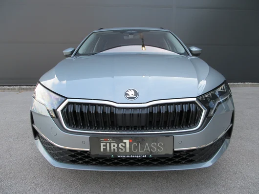Bild eines Octavia Combi Selection TSI mHEV DSG