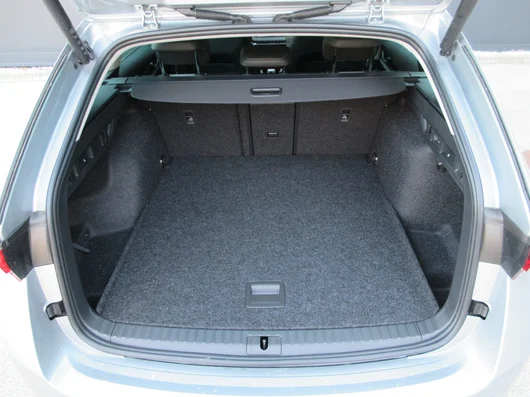Bild eines Octavia Combi Selection TSI mHEV DSG