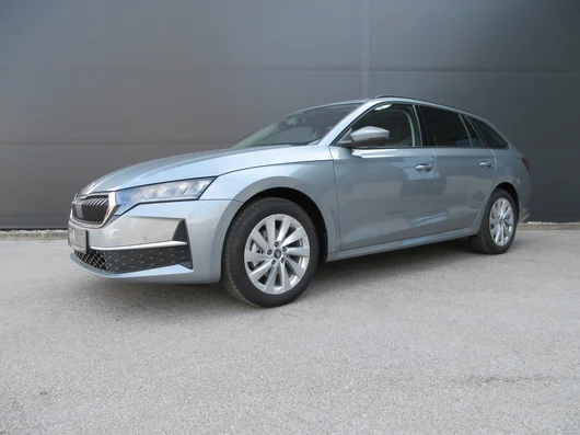 Bild eines Octavia Combi Selection TSI mHEV DSG