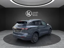 VW Tiguan Friends eTSI DSG in Delfingrau Metallic