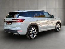 Škoda Kodiaq Sportline TDI DSG in Stahl-Grau