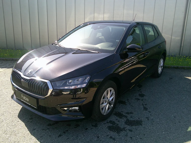 Škoda Fabia Selection TSI