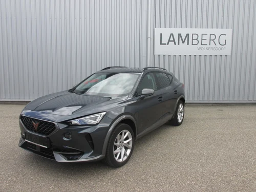 CUPRA Formentor 2.0 TDI 150 PS