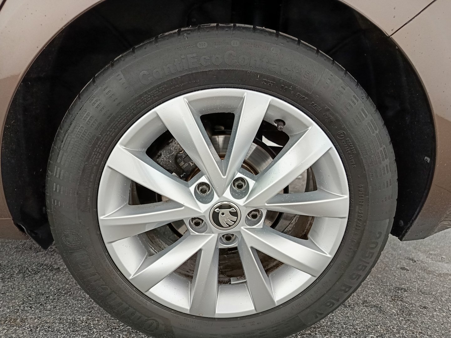 Škoda OCTAVIA Combi Ambition Limited TDI | Bild 9 von 30