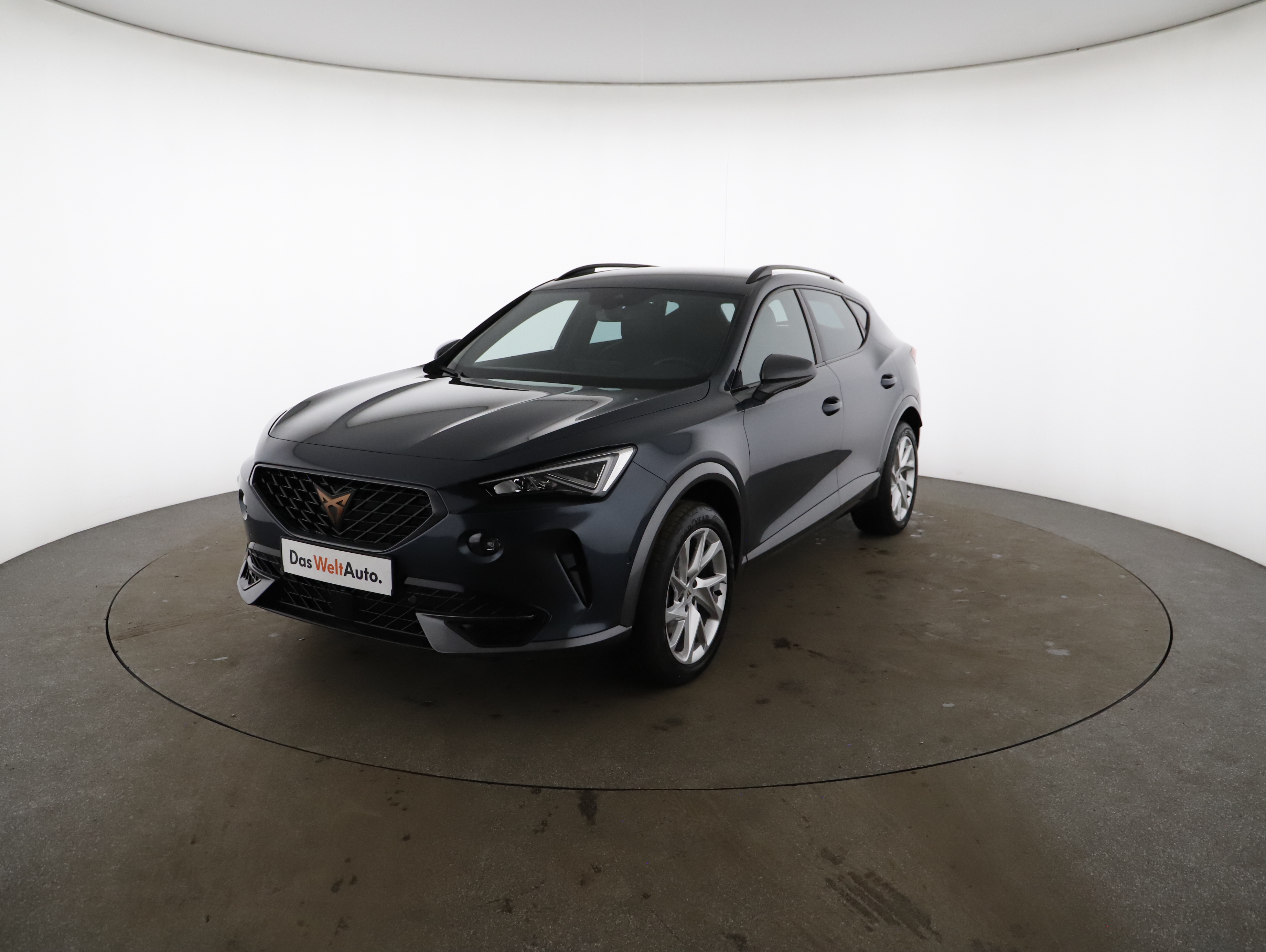 Formentor TRIBE 1.5 TSI 150 PS DSG ACT