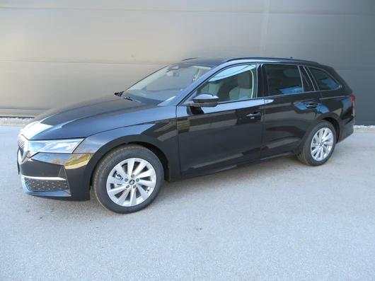 Bild eines Octavia Combi Selection TDI DSG