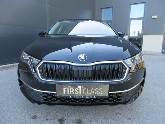 Bild eines Octavia Combi Selection TDI DSG