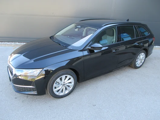 Bild eines Octavia Combi Selection TDI DSG