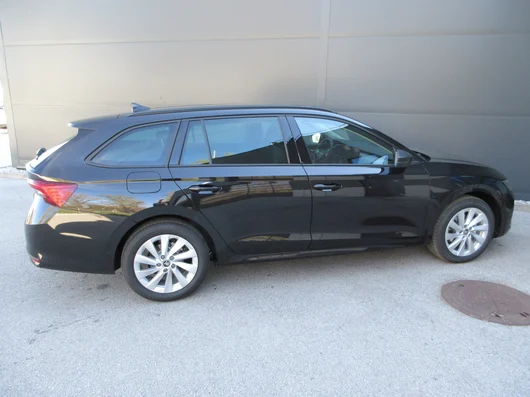 Bild eines Octavia Combi Selection TDI DSG