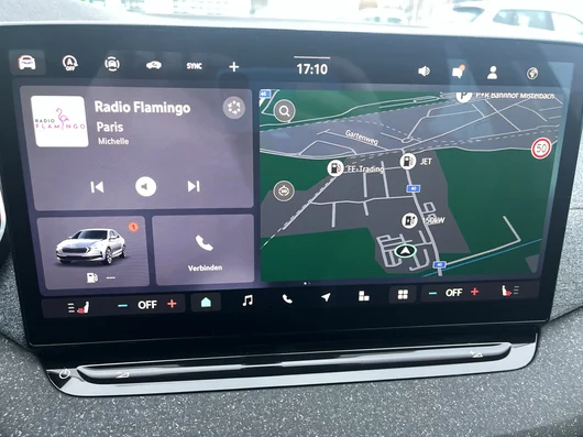 Bild eines Octavia Selection TSI mHEV DSG