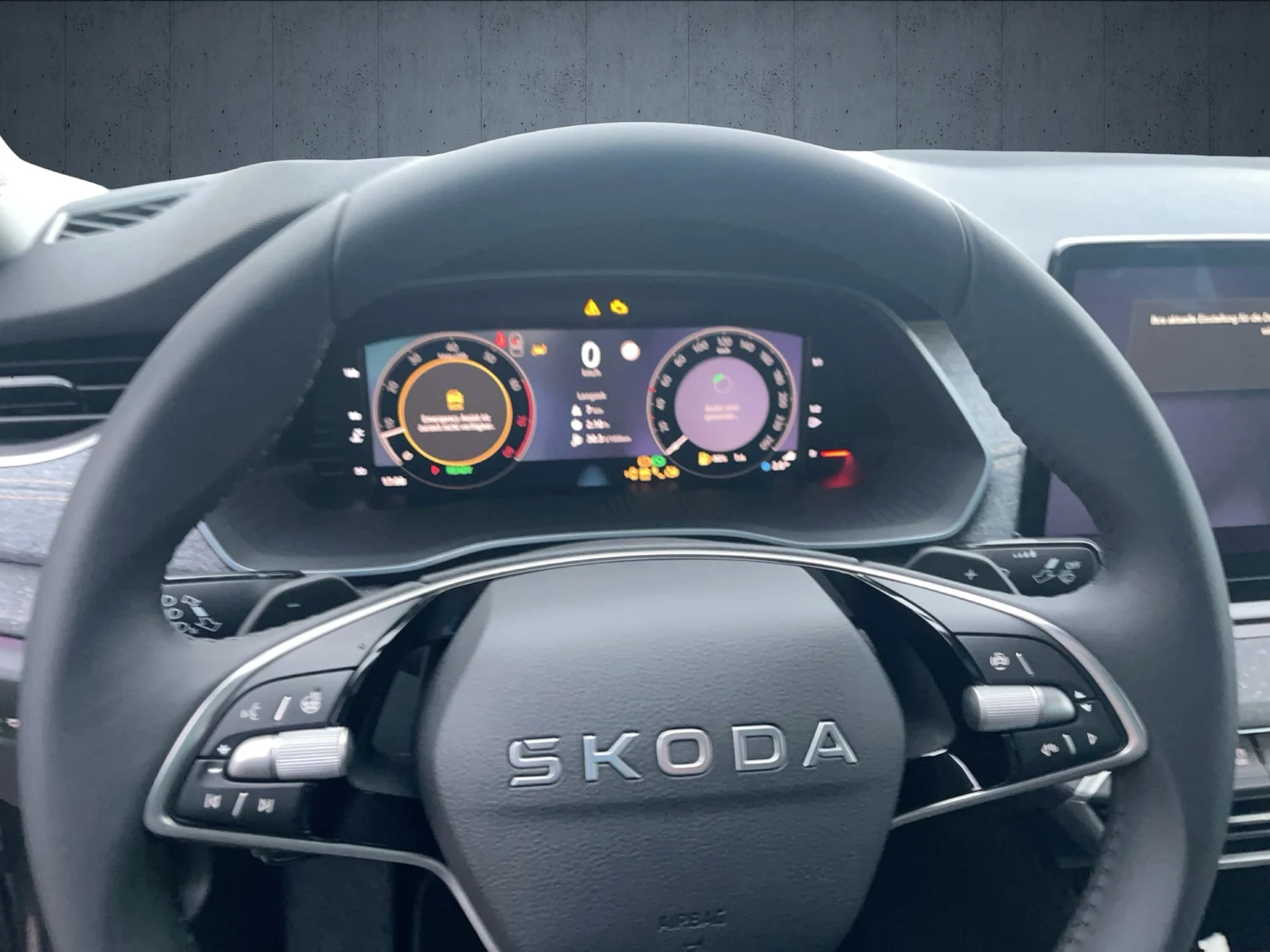 Bild eines Octavia Selection TSI mHEV DSG