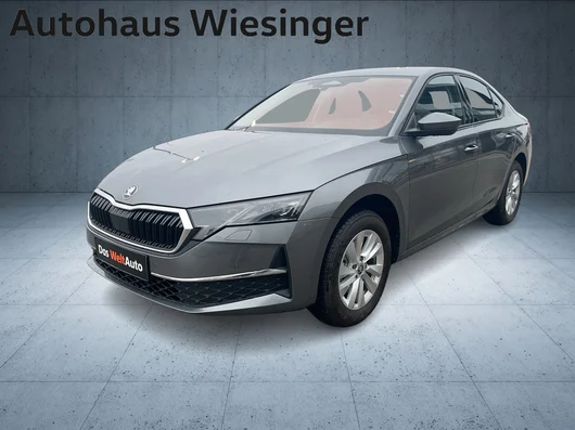 Bild eines Octavia Selection TSI mHEV DSG