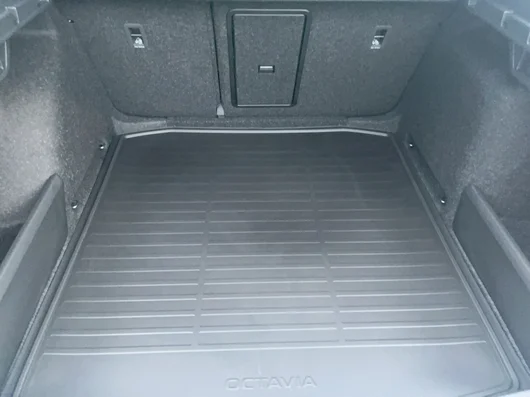 Bild eines Octavia Selection TSI mHEV DSG