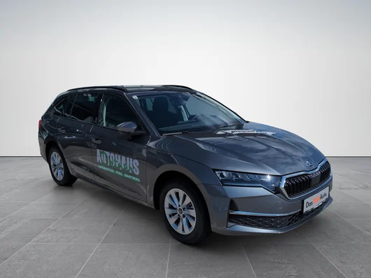 Bild eines Octavia Combi Selection TDI DSG