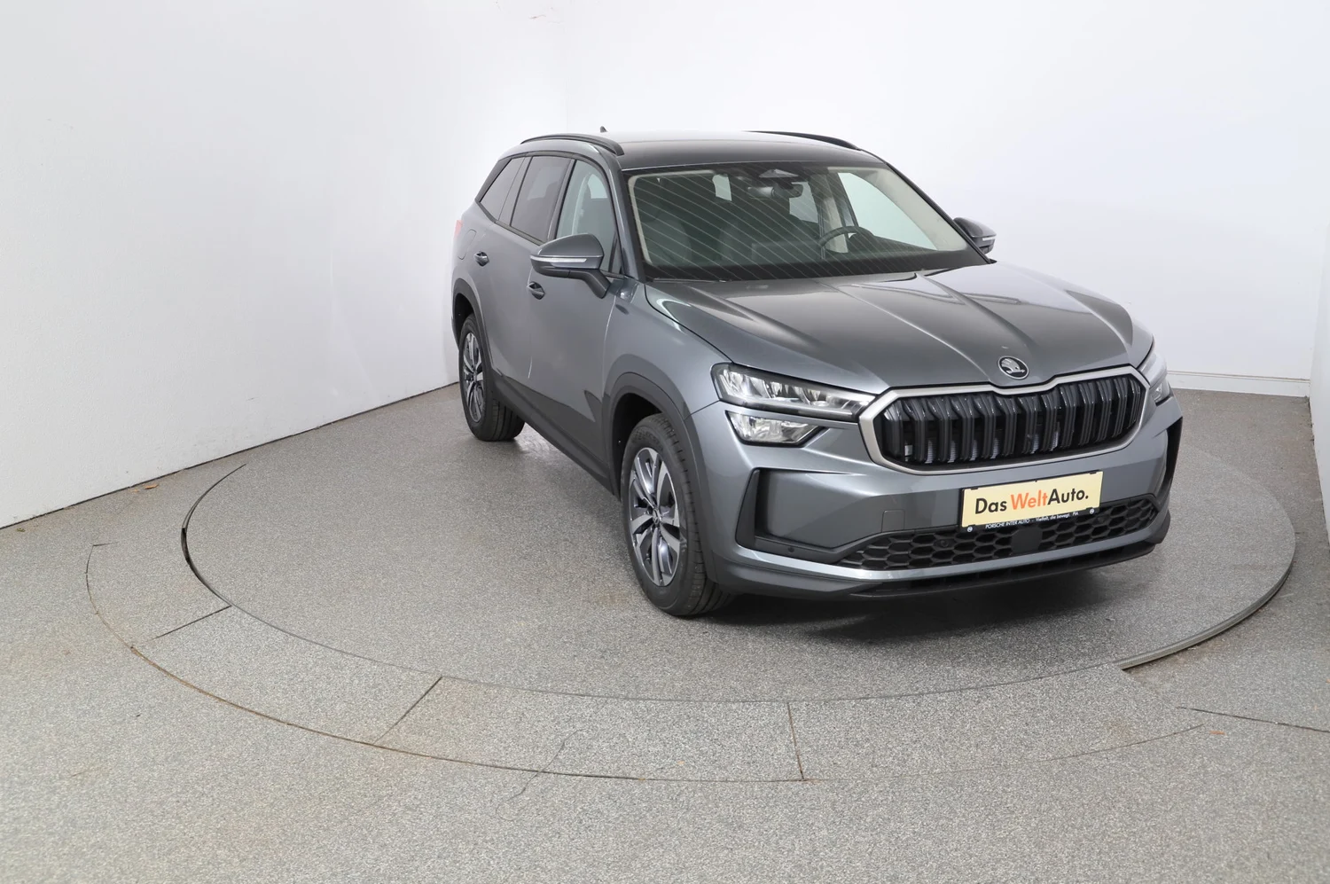 Bild eines Škoda Kodiaq 4x4 Selection TDI DSG