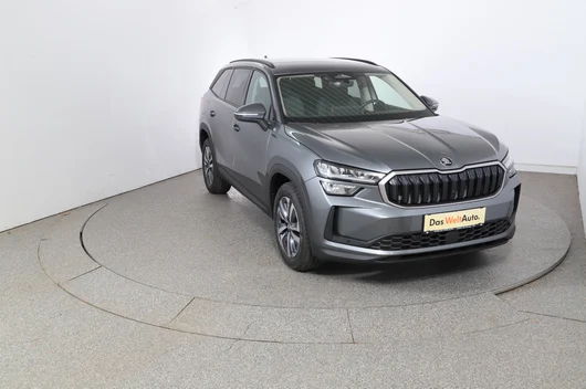 Bild eines Škoda Kodiaq 4x4 Selection TDI DSG