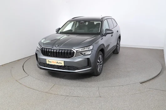 Bild eines Škoda Kodiaq 4x4 Selection TDI DSG