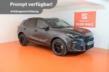 CUPRA Terramar 2.0 TSI 204 PS DSG 4Drive in Tambora-Grau Metallic