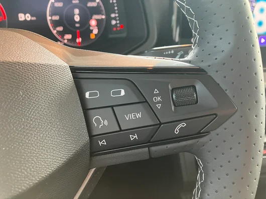 Bild eines Ibiza FR Edition 1.0 TSI 95PS