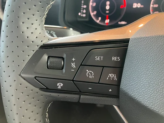 Bild eines Ibiza FR Edition 1.0 TSI 95PS