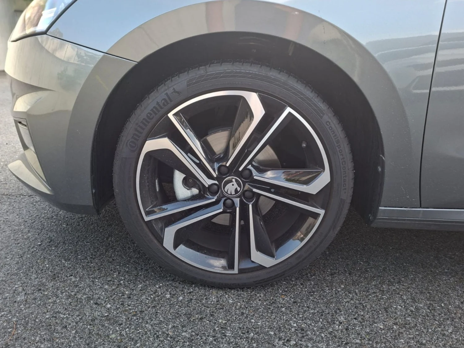 Bild eines Fabia Selection TSI DSG