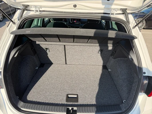 Bild eines Arona Style Edition 1.0 TSI DSG