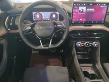 Škoda Kodiaq 4x4 Sportline TDI DSG in Stahl-Grau