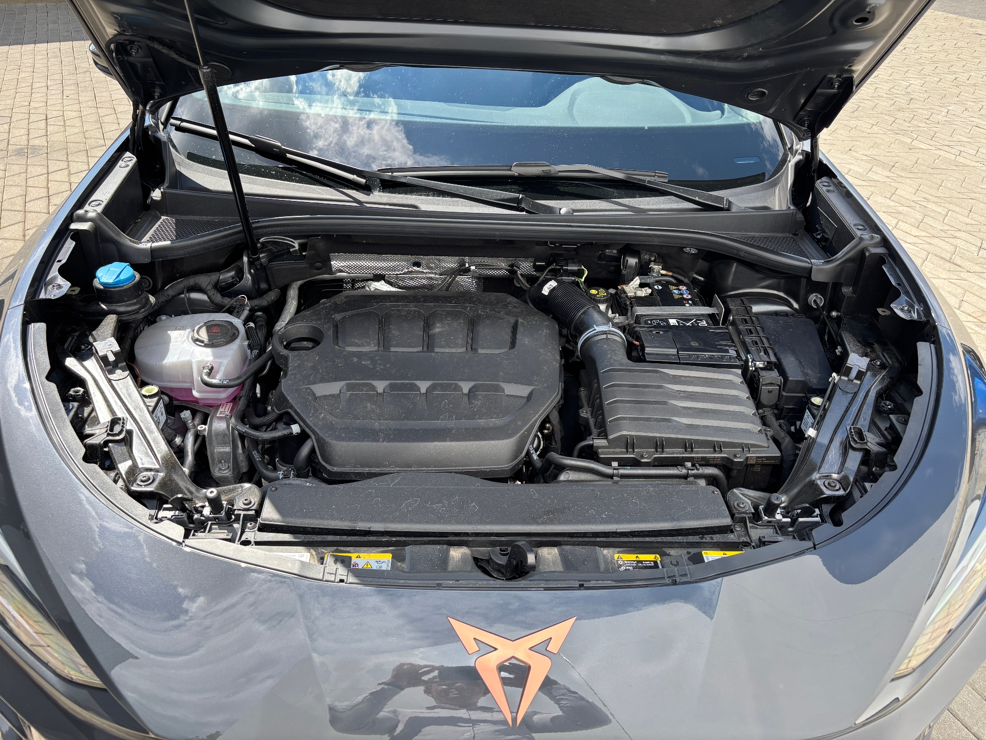 Cupra Terramar