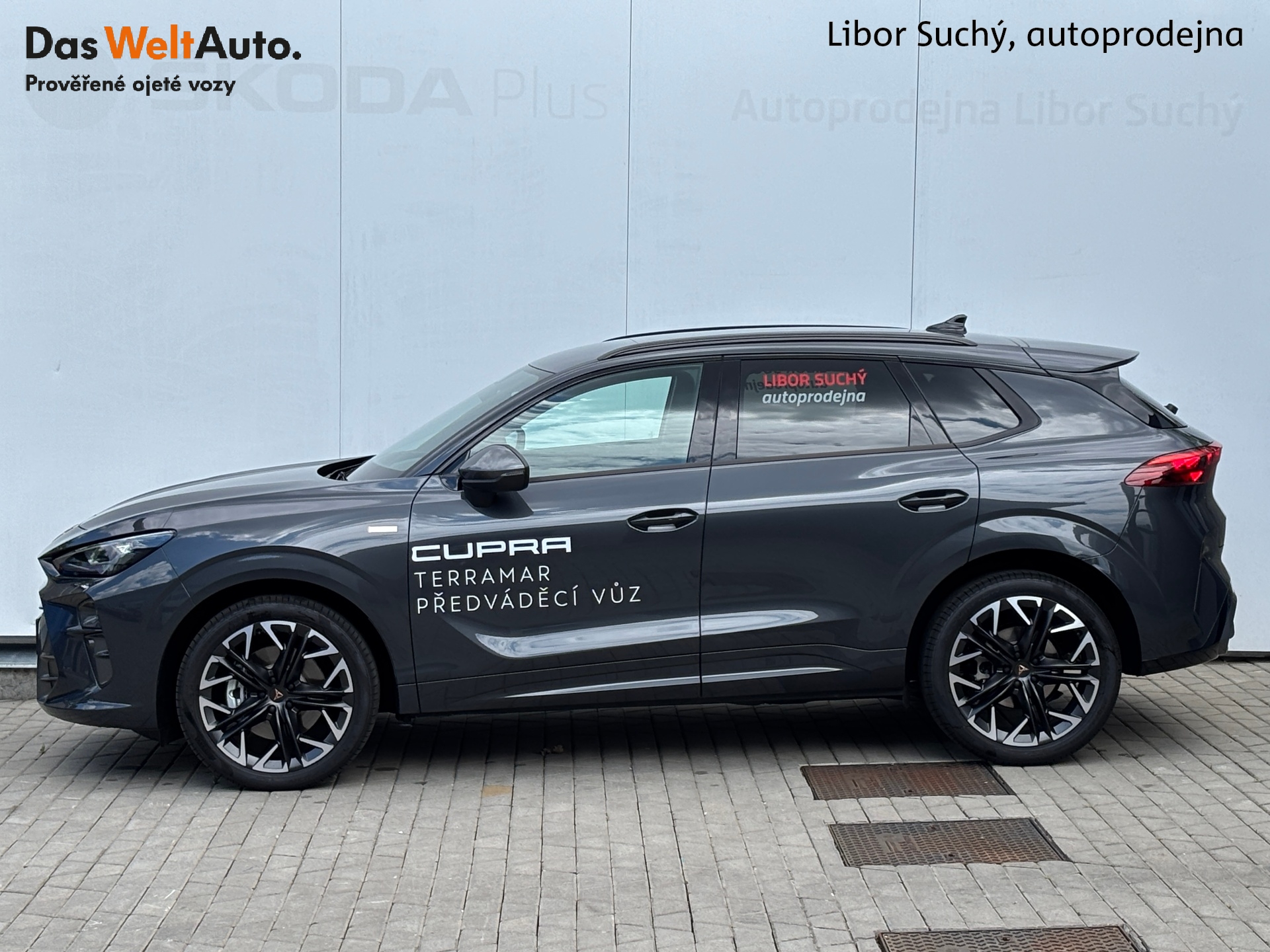 Cupra Terramar