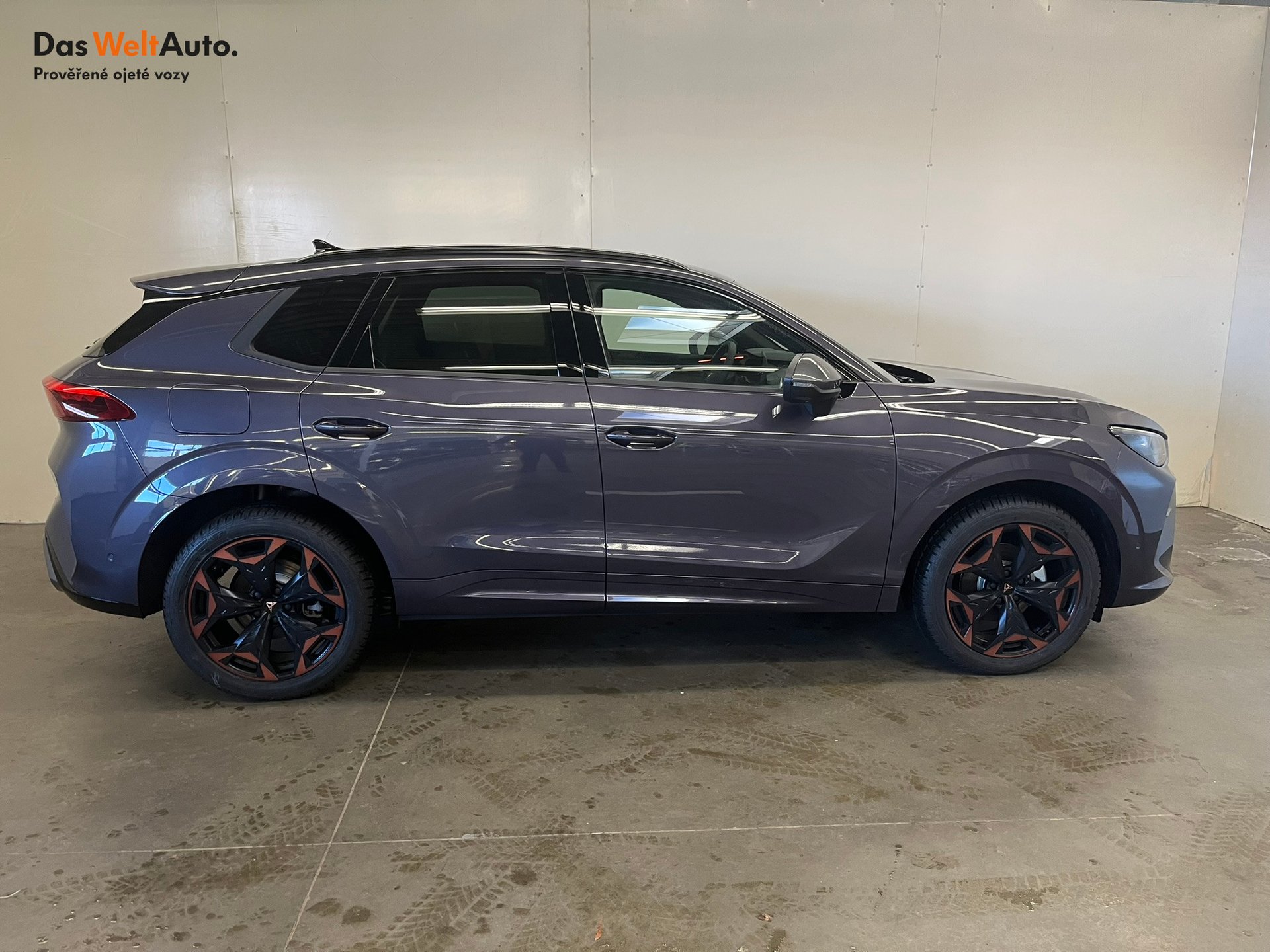 Seat CUPRA CUPRA Terramar