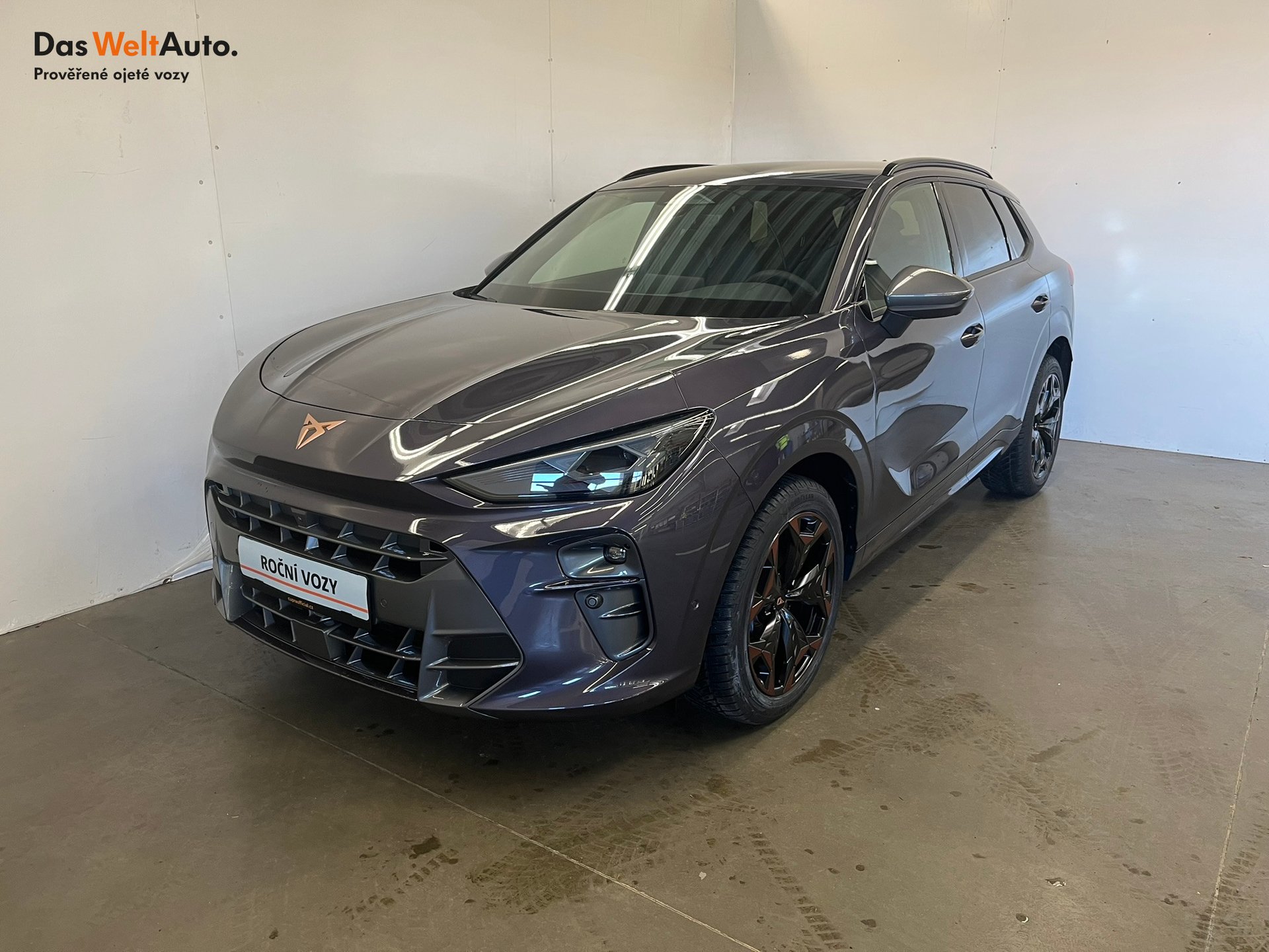 Seat CUPRA CUPRA Terramar