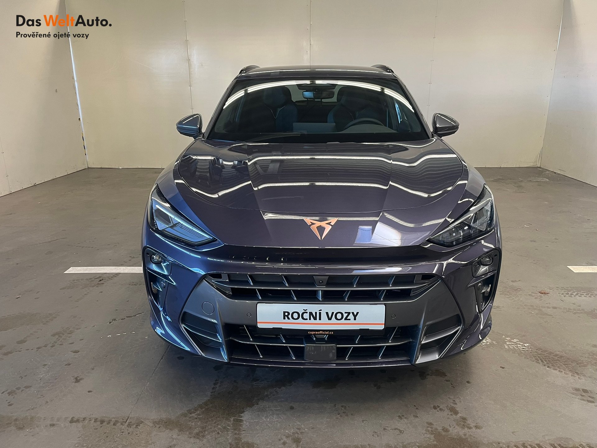 Seat CUPRA CUPRA Terramar