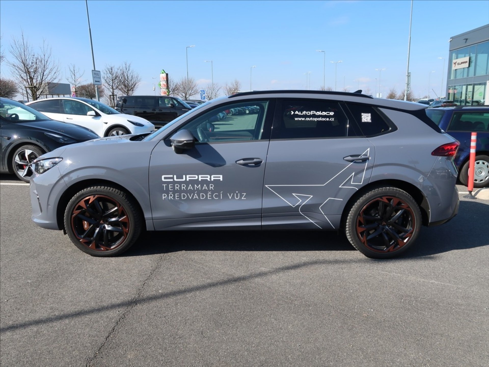Cupra Terramar