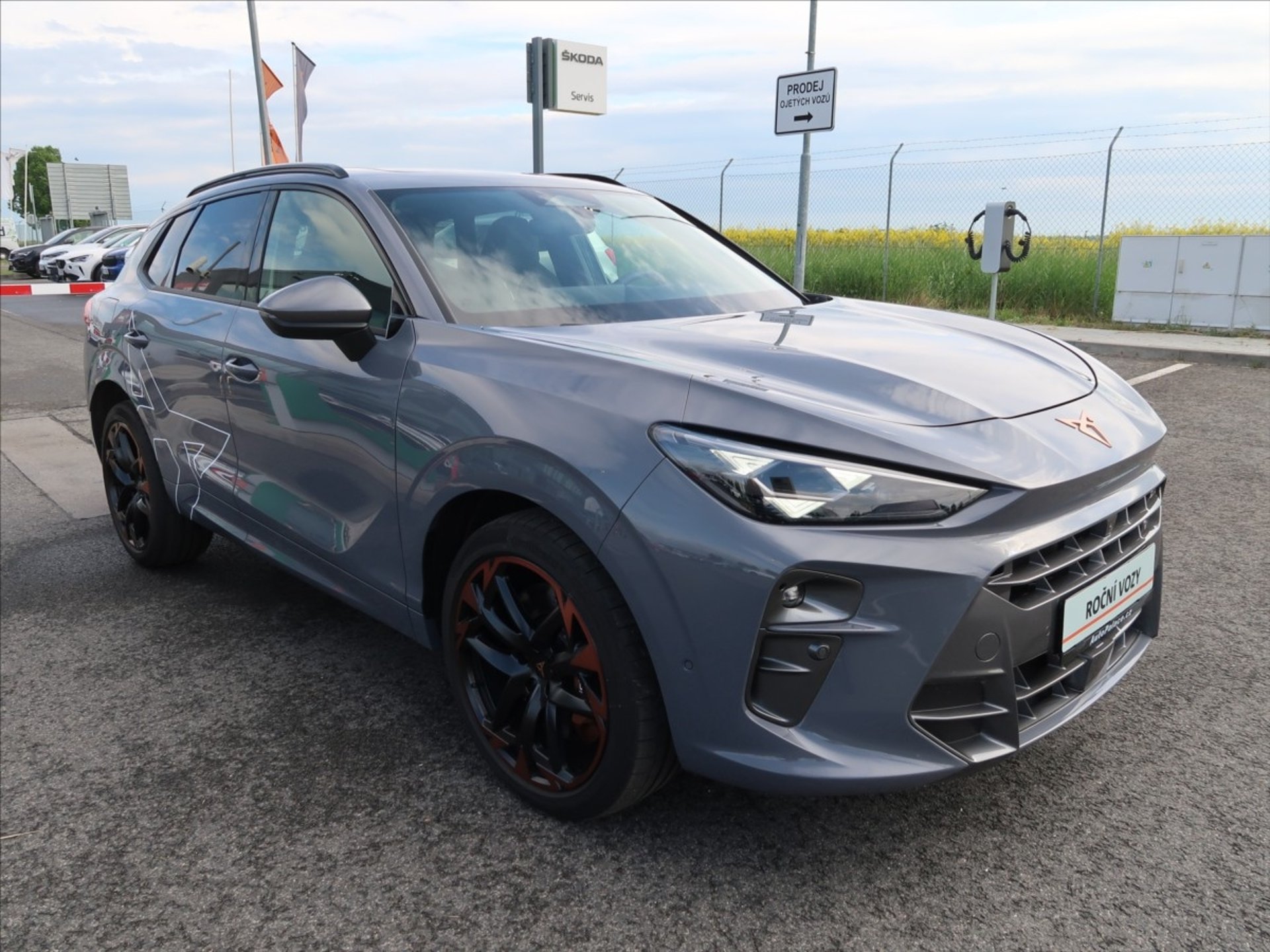 Cupra Terramar