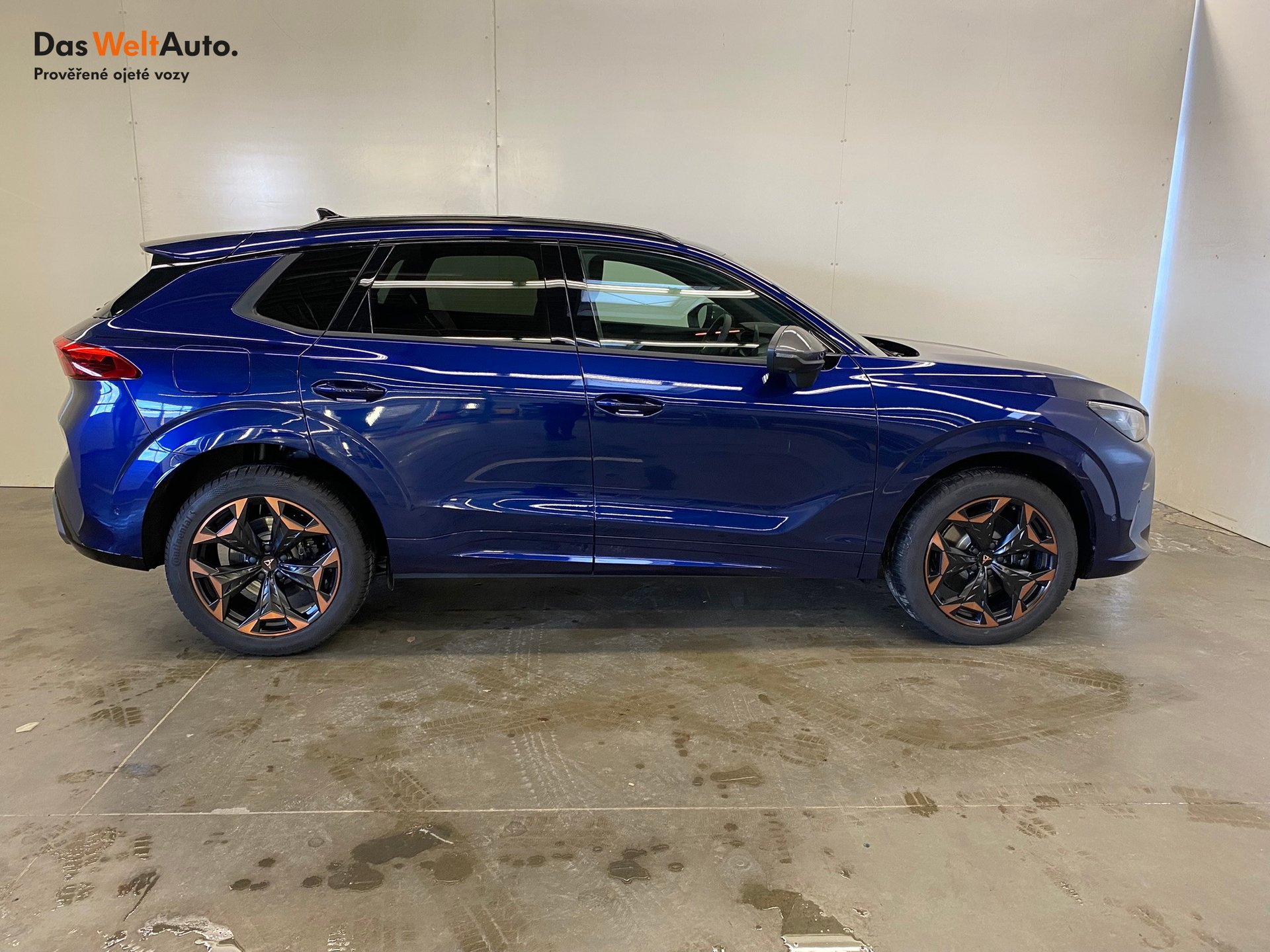 Seat CUPRA CUPRA Terramar
