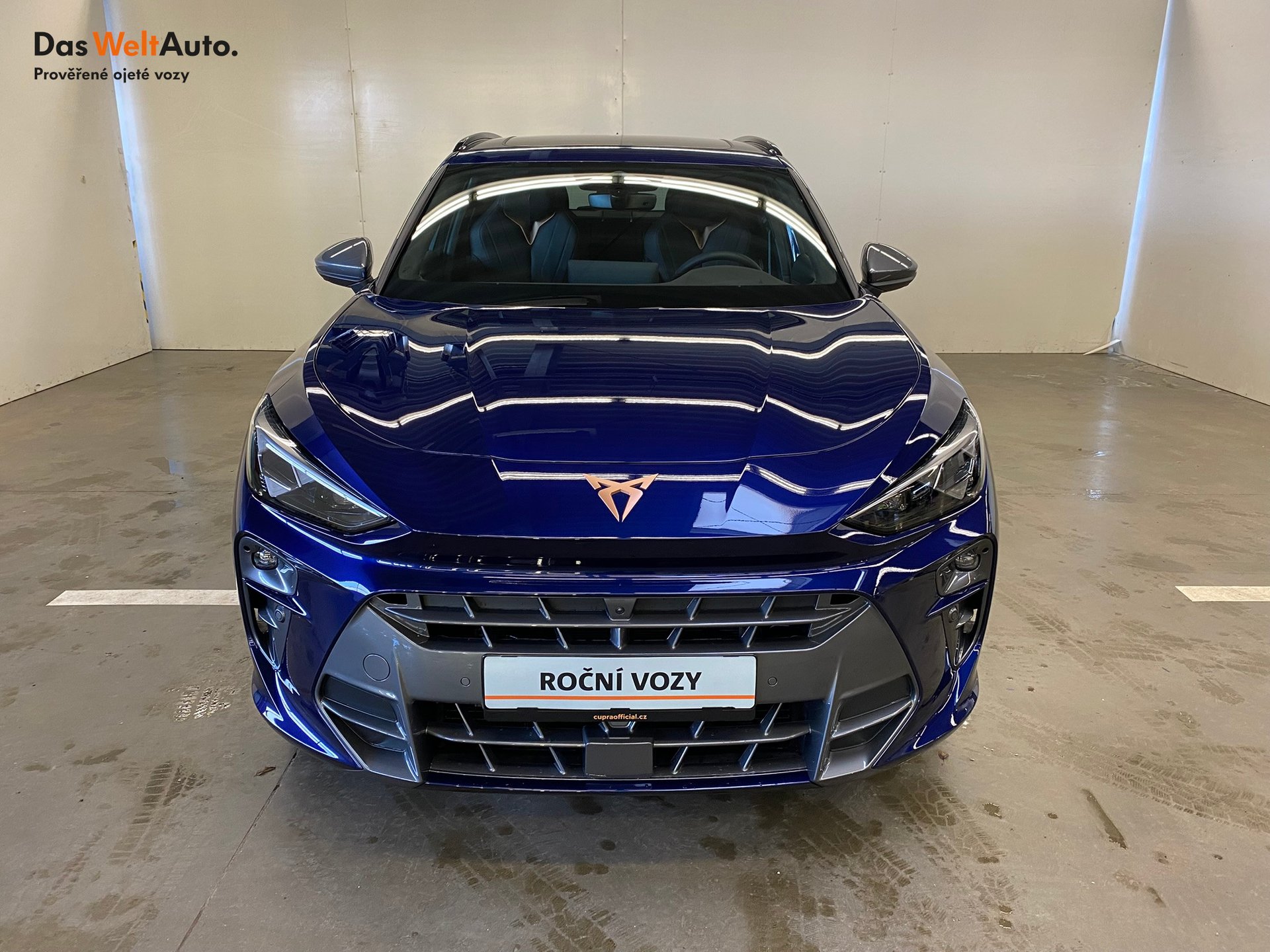 Seat CUPRA CUPRA Terramar