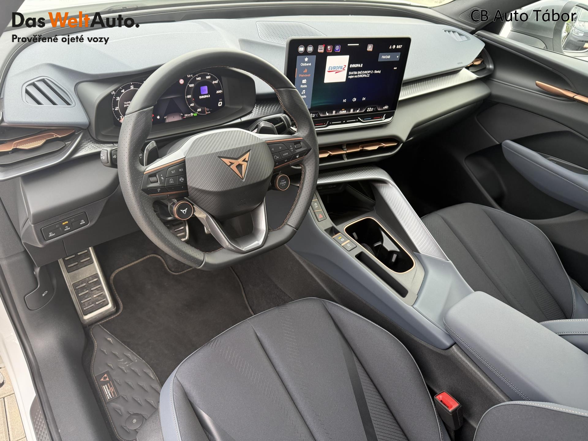 Cupra Terramar